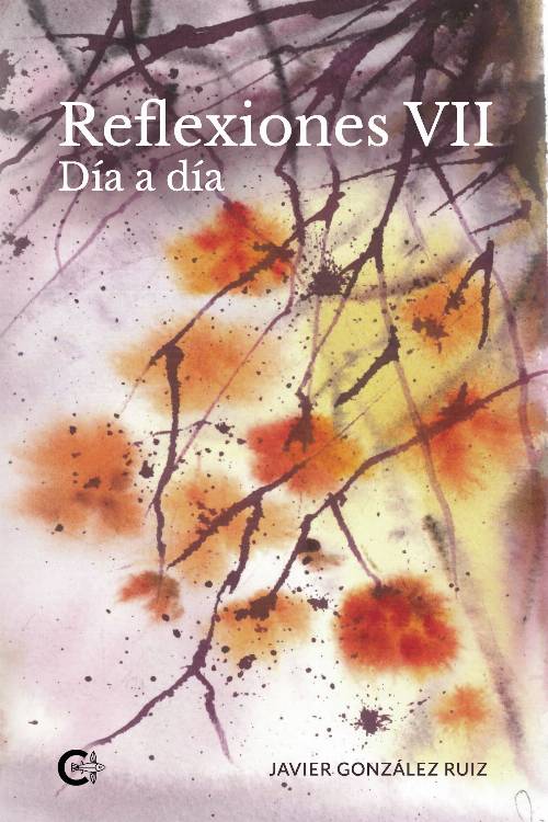 Reflexiones VII