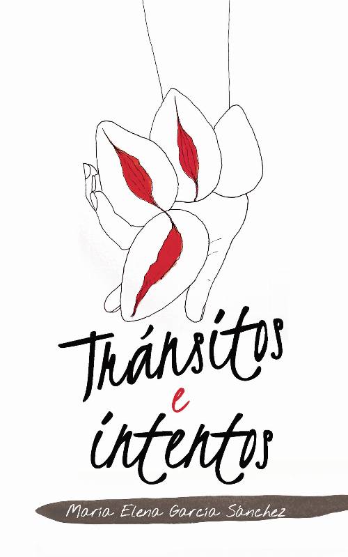 Tránsitos e intentos