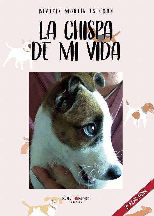 LA CHISPA DE MI VIDA