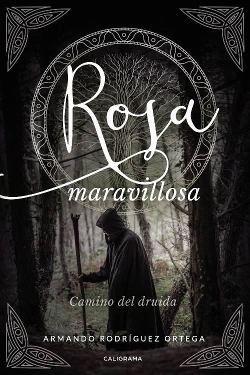 Rosa maravillosa