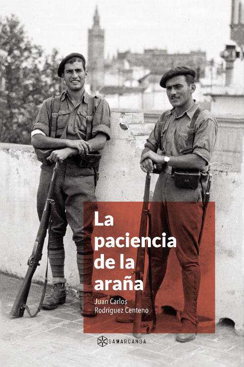 La paciencia de la araña