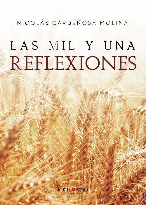 Las mil y una reflexiones