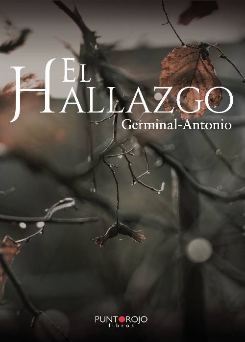 El hallazgo