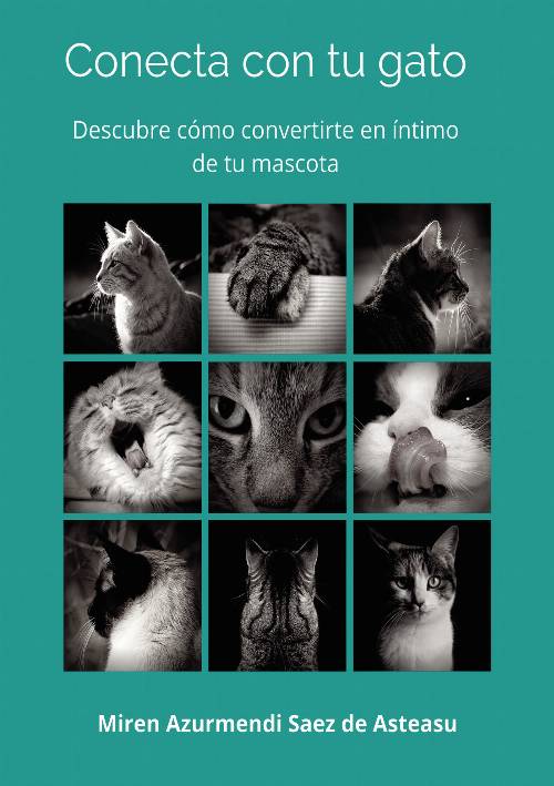 Conecta con tu gato