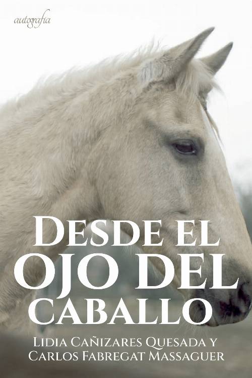 Desde el ojo del caballo