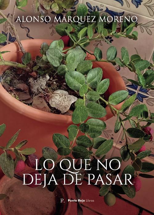 Lo que no deja de pasar