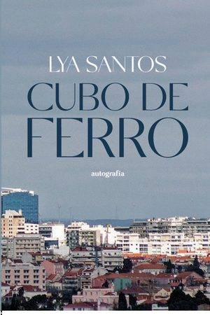 Cubo de ferro