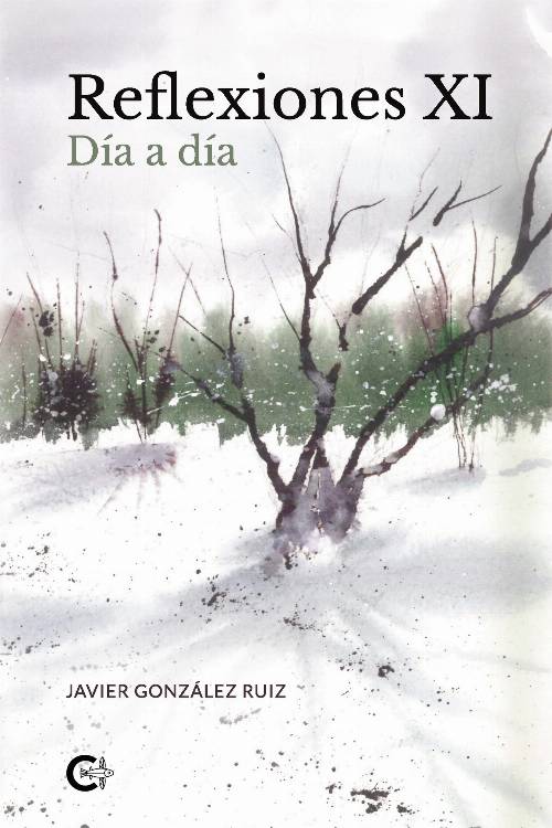 Reflexiones XI