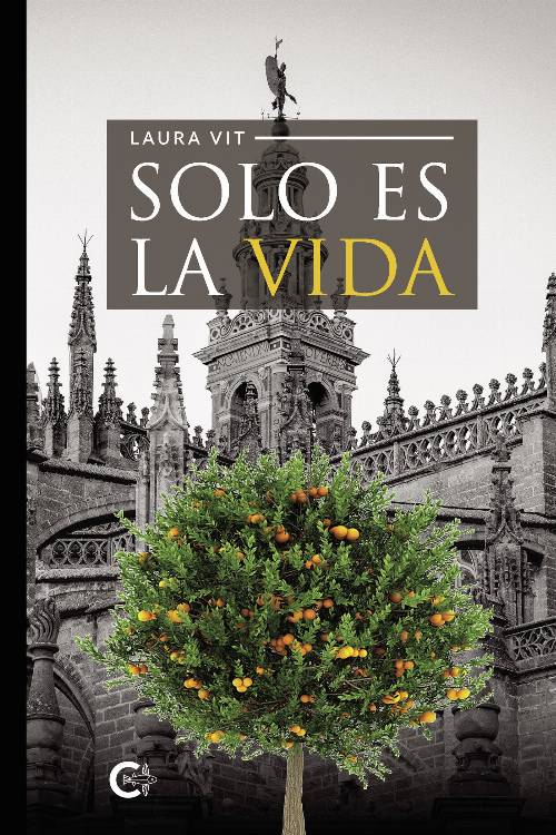 Solo es la vida