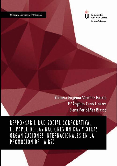 Responsabilidad social corporativa. El papel de las Naciones Unidas y otras organizaciones internacionales en la promoción de la RSC.