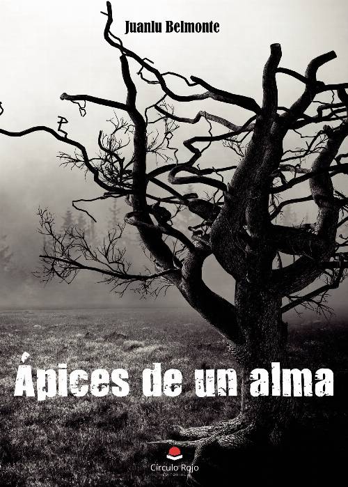 Ápices de un alma