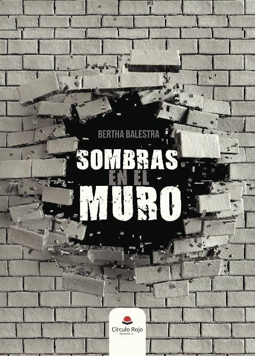 SOMBRAS EN EL MURO