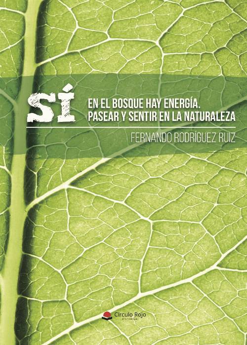 Sí, en el bosque hay energía. Pasear y sentir en la naturaleza