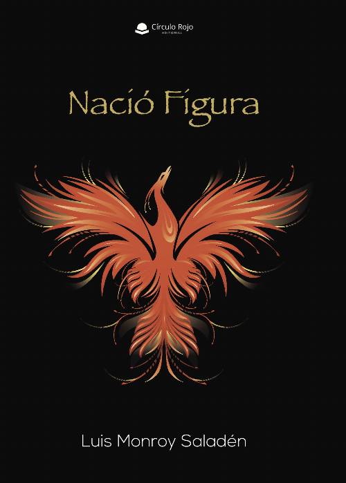 NACIÓ FIGURA
