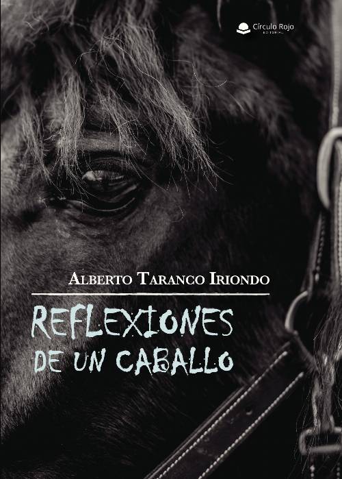 Reflexiones de un caballo