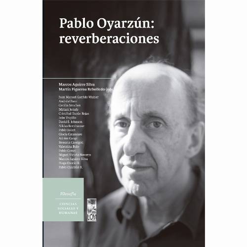 Pablo Oyarzun: reverberaciones
