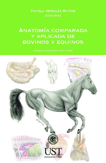 Anatomía comparada y aplicada de bovinos y equinos