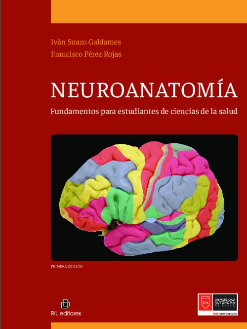 Neuroanatomía: fundamentos para estudiantes de ciencias de la salud