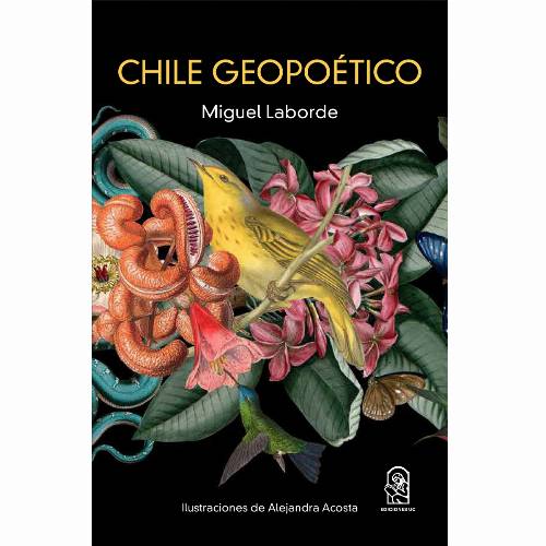 Chile geopoético