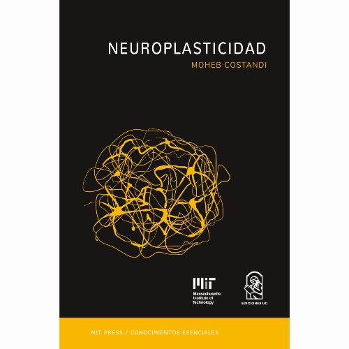 Neuroplasticidad