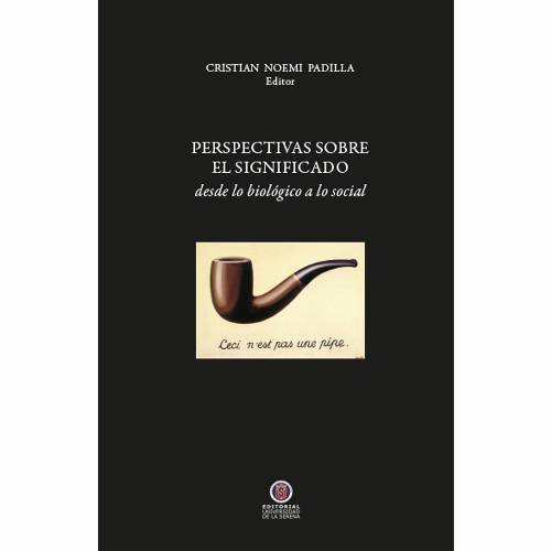 Perspectivas sobre el significado