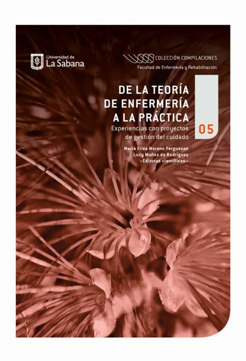 De la teoría de la enfermería a la práctica