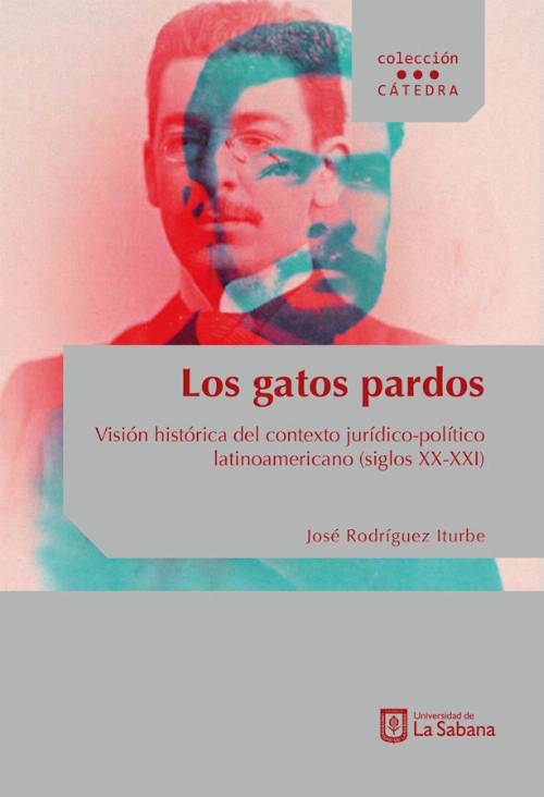 Los gatos pardos