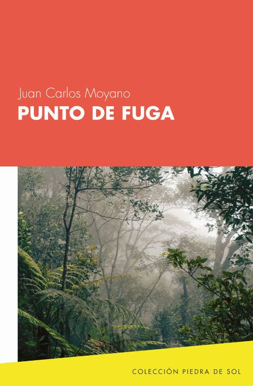Punto de fuga