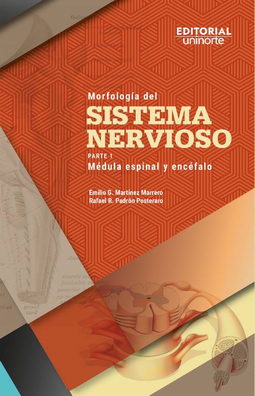 Morfología del sistema nervioso
