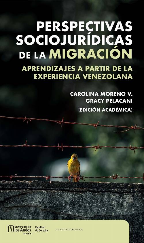 Perspectivas sociojurídicas de la migración