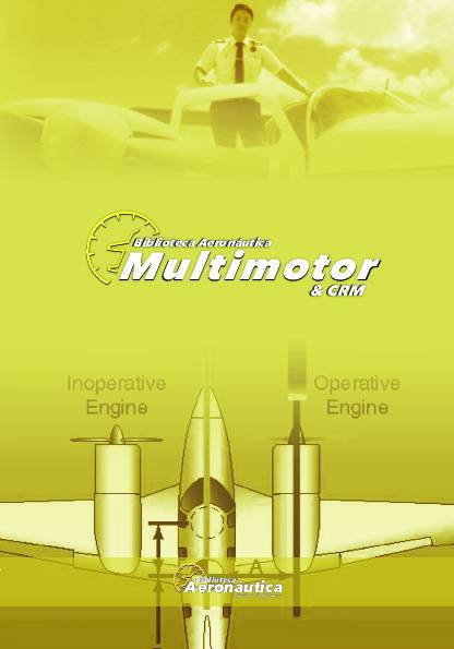 Multimotor y CRM