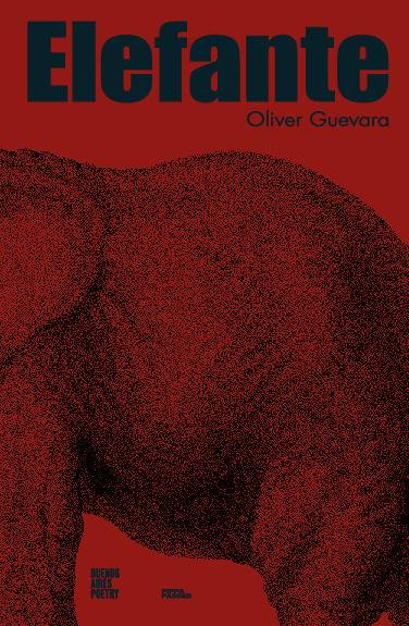 Elefante