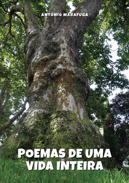 Poemas de Uma Vida Inteira
