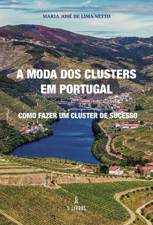 A moda dos clusters em Portugal