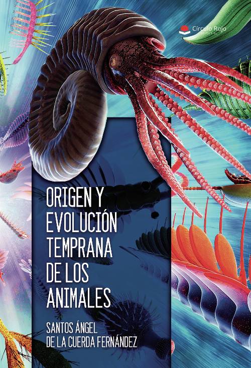 Origen y evolución temprana de los animales