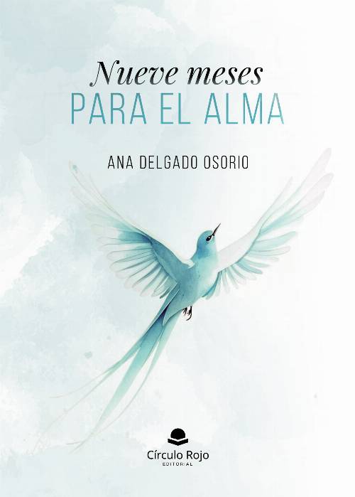 Nueve meses para el alma