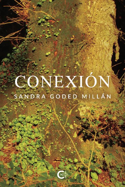 Conexión