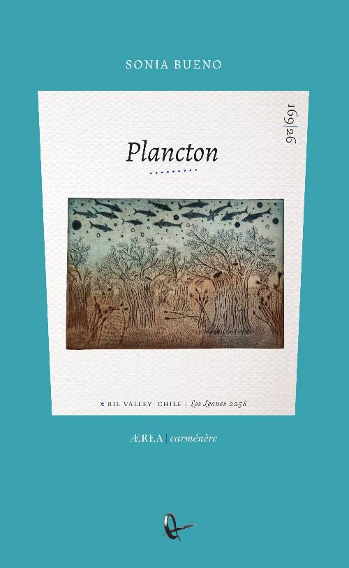 Plancton