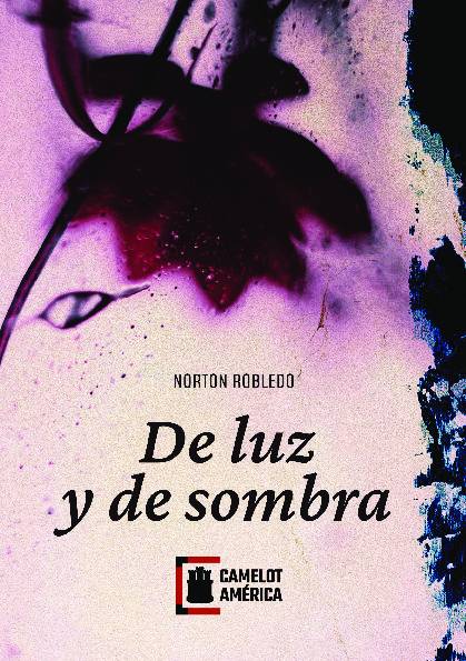 De luz y de sombra