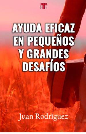 Ayuda eficaz en pequeños y grandes desafíos