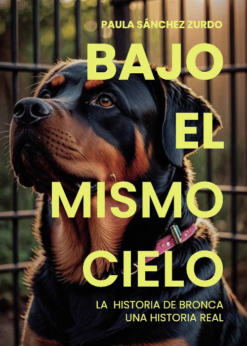 Bajo el mismo cielo