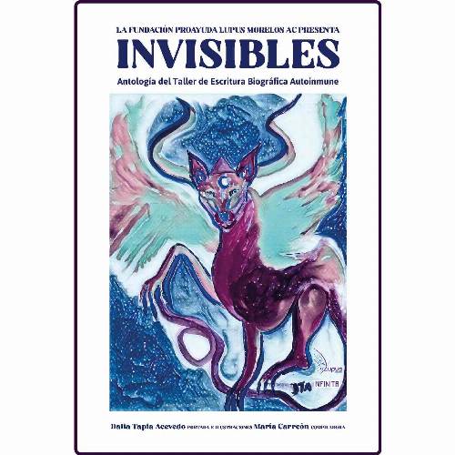 Invisibles
