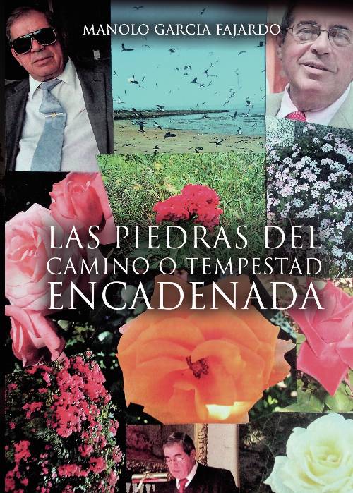 Las piedras del camino o tempestad encadenada